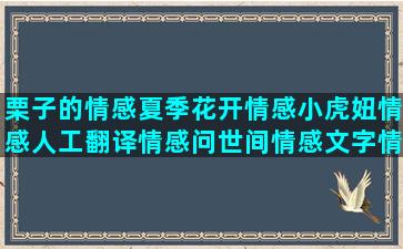 栗子的情感夏季花开情感小虎妞情感人工翻译情感问世间情感文字情感语录 励志